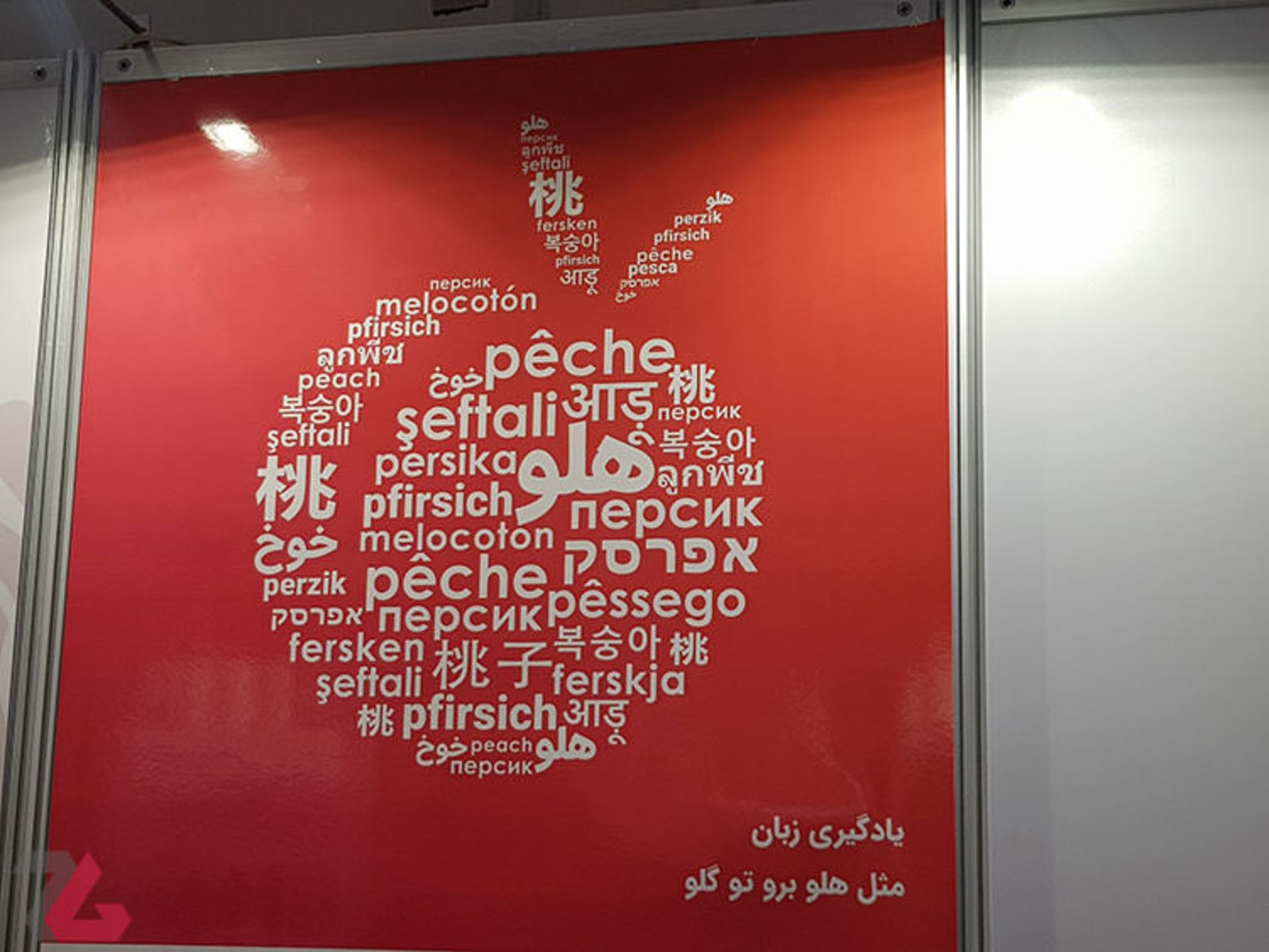 گزارش هلو