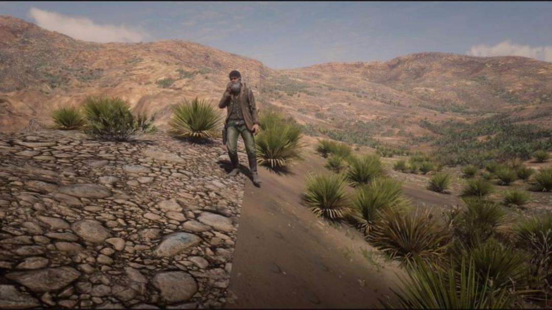 Red Dead Redemption 2