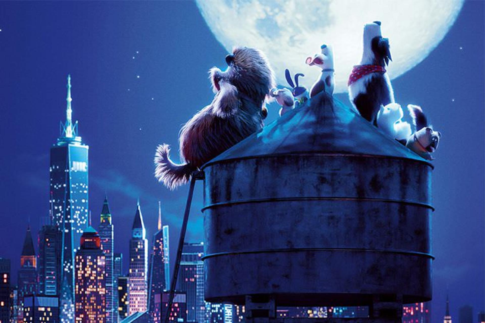 The Secret Life Of Pets 2