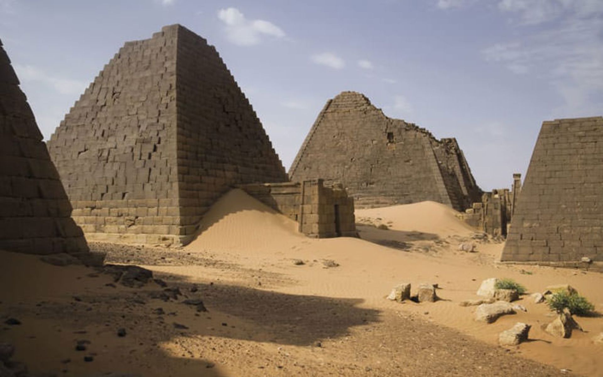 چرخه زندگی