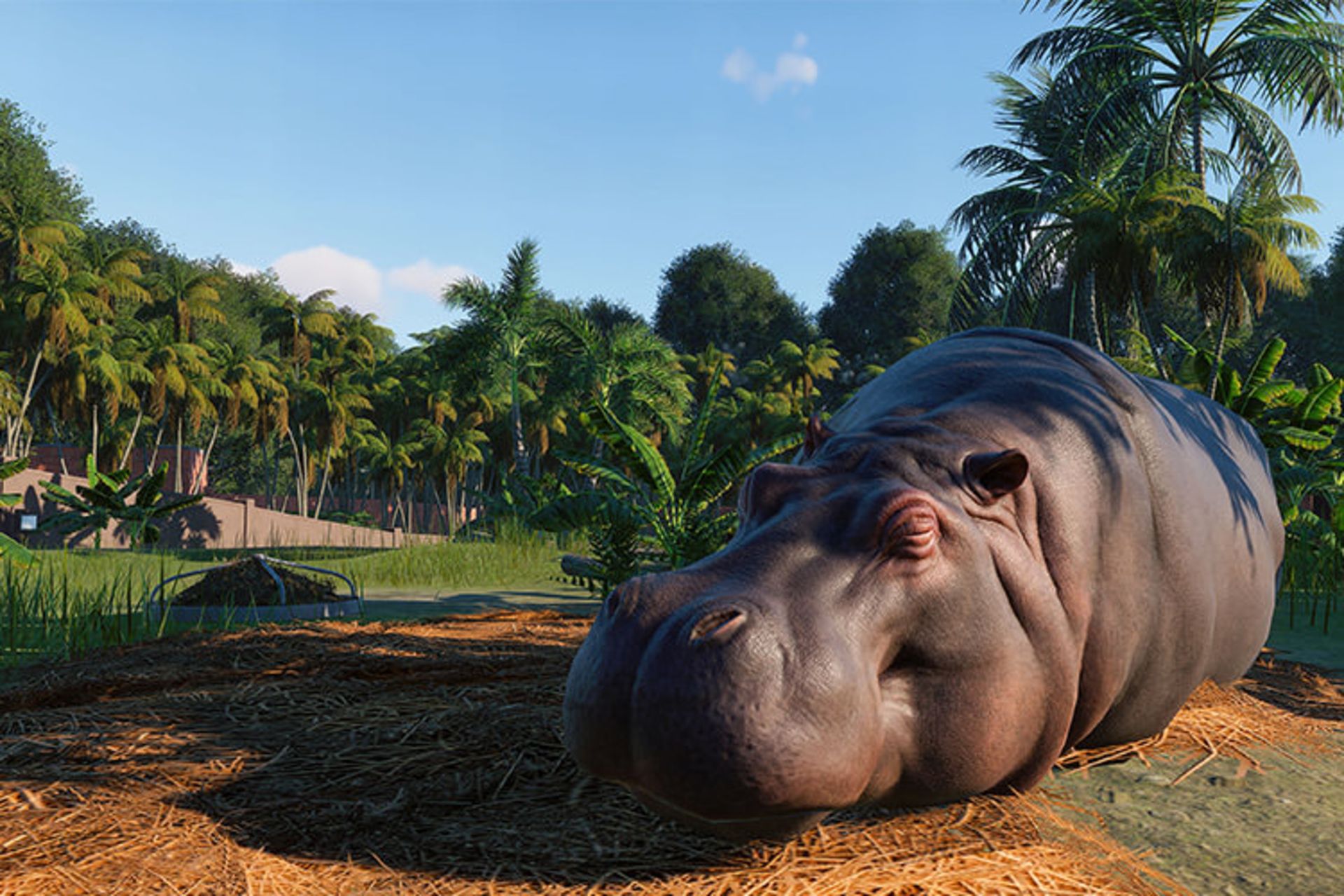 Planet Zoo