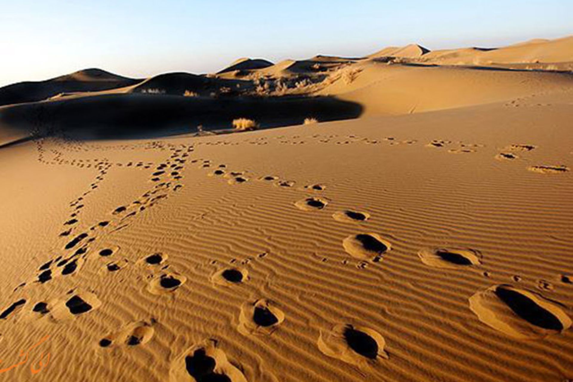 کویر مرنجاب