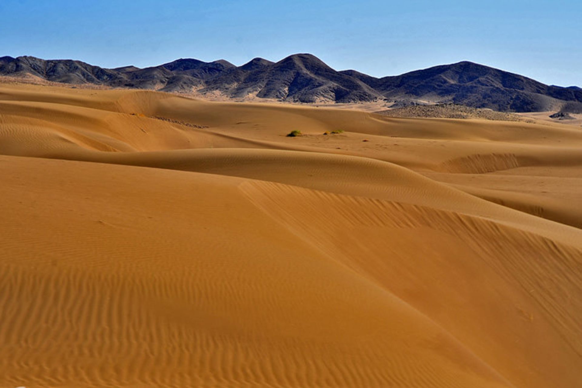 کویر مرنجاب