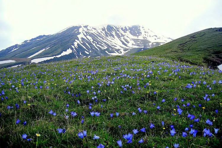 تور گرجستان