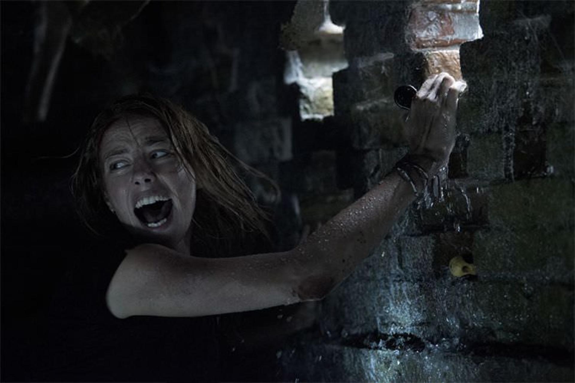 فیلم Crawl