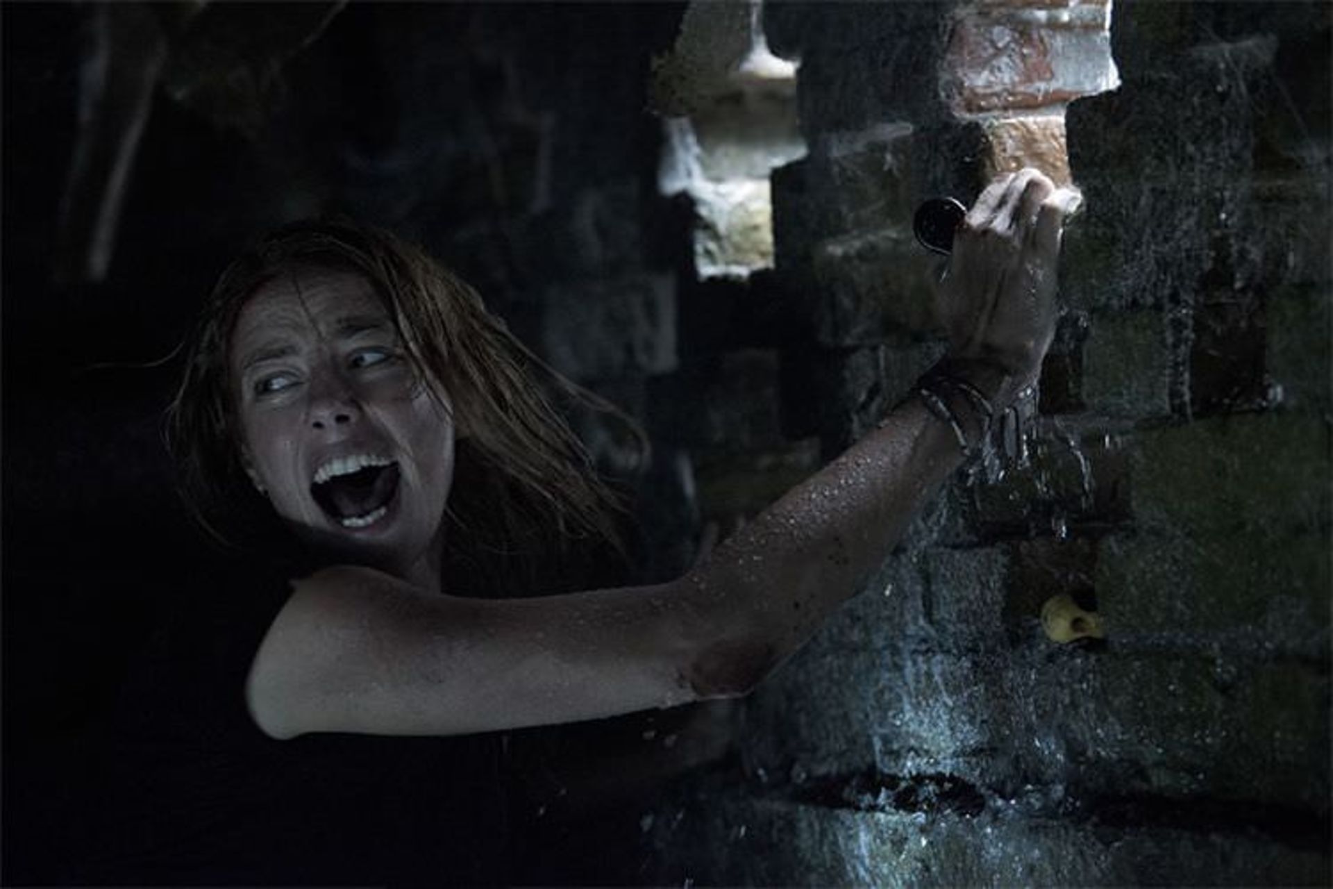 فیلم Crawl