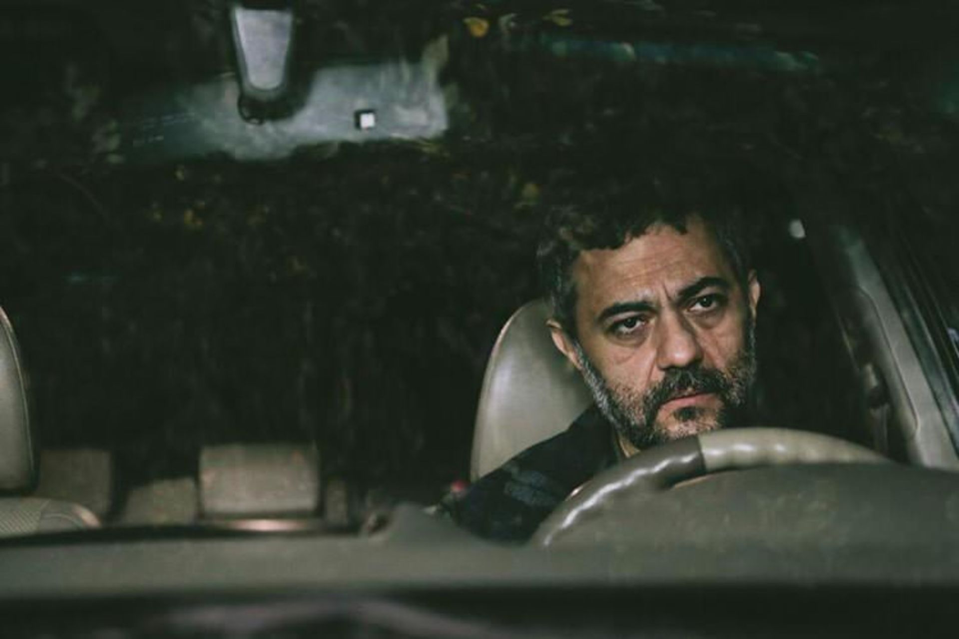 قصیده گاو سفید