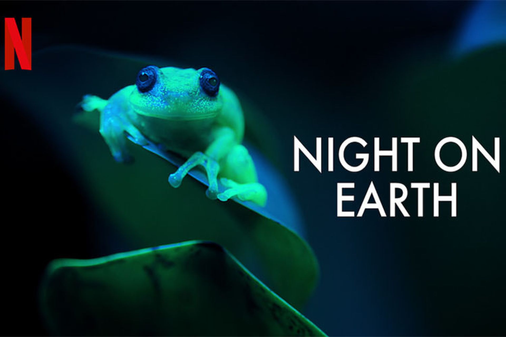 Night on Earth