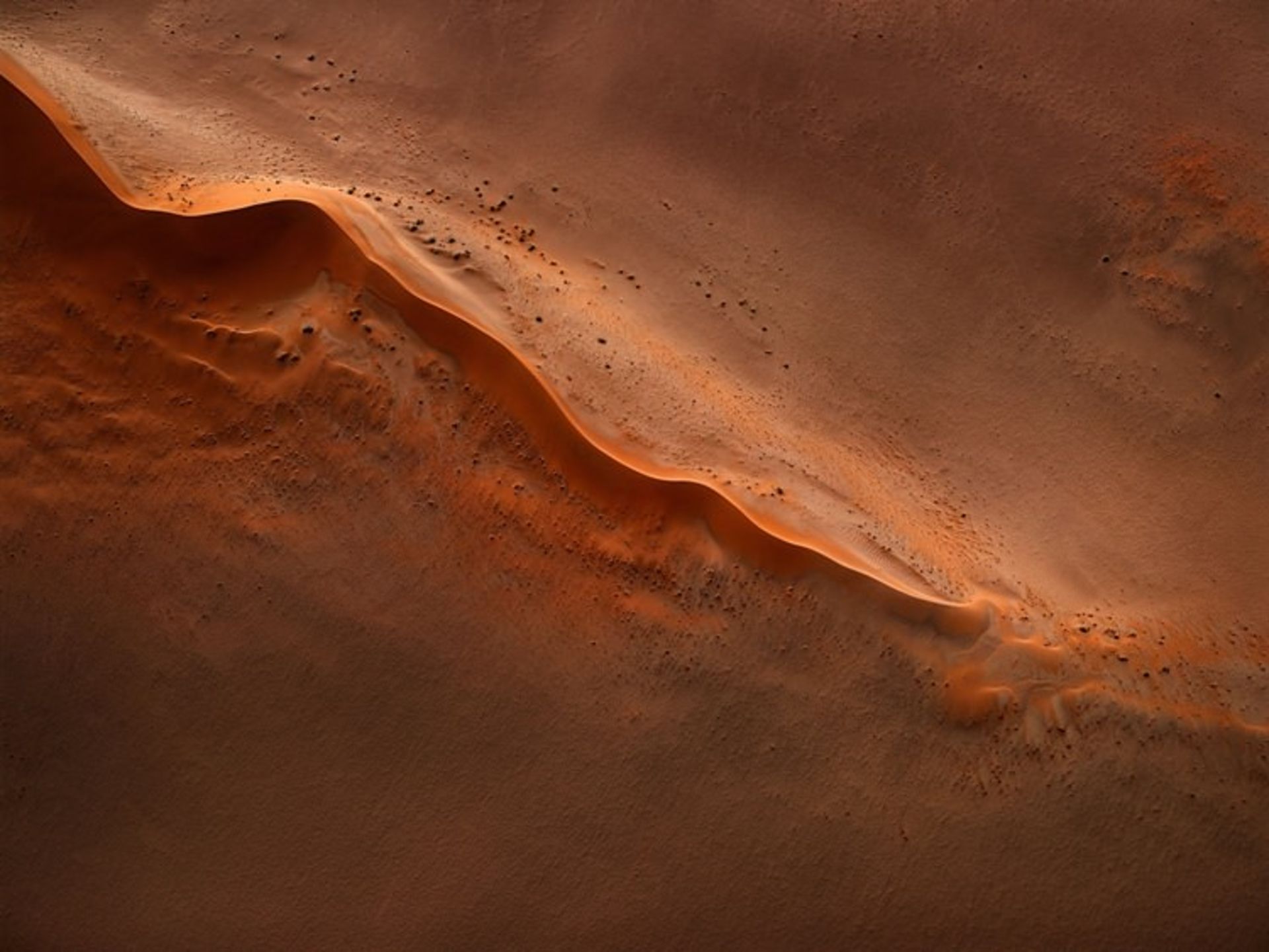 فیلم Dune