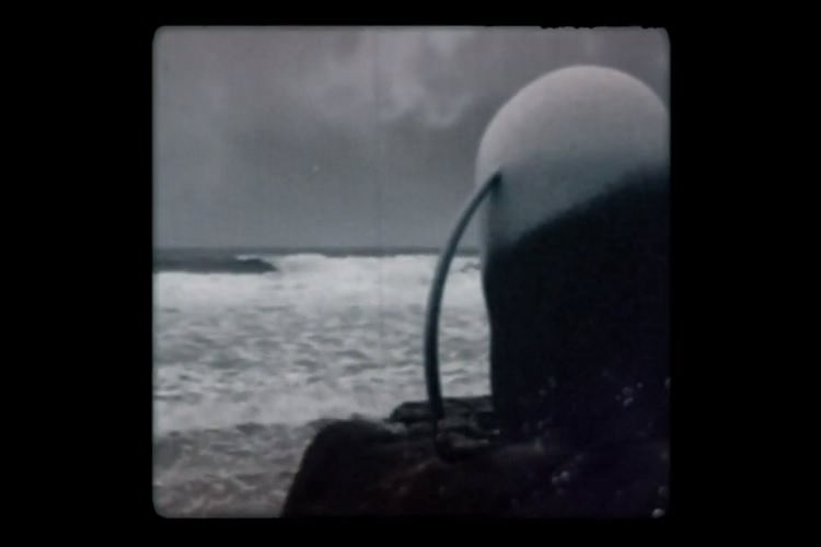 معرفی انیمیشن کوتاه Migration - زومجی