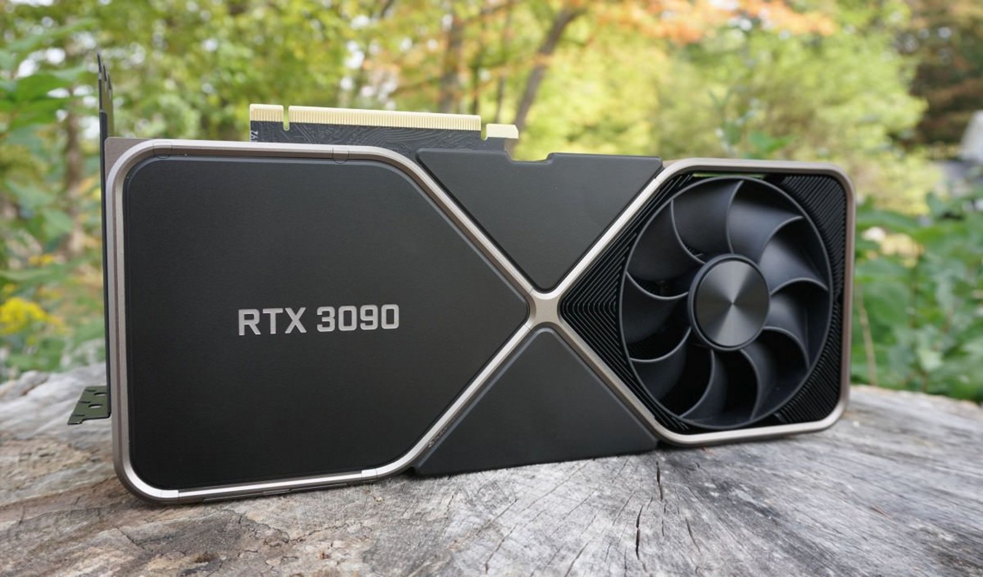 کارت گرافیک انویدیا GeForce RTX 3090 روی کنده‌ی درخت