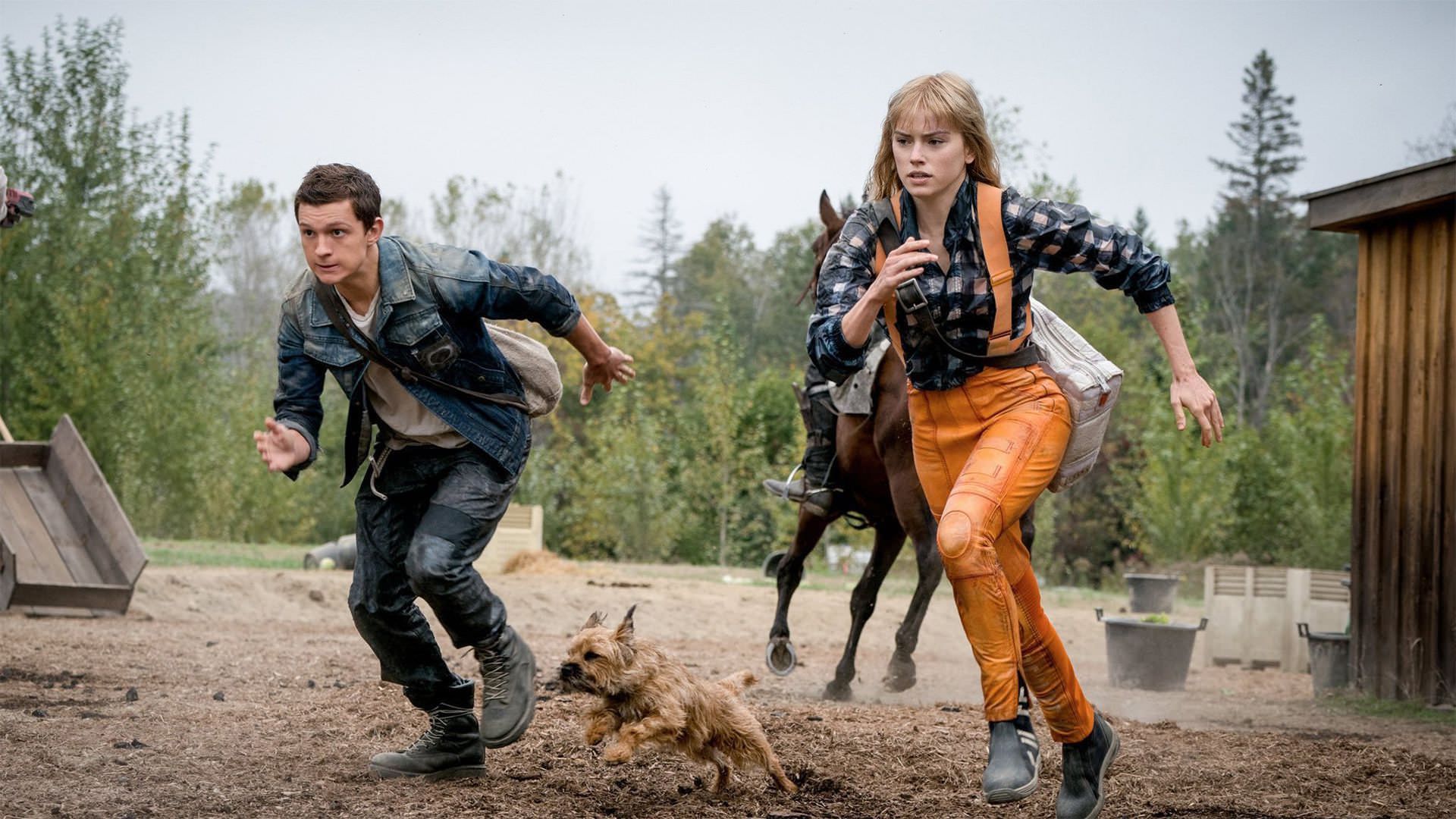 تام هالند و دیزی ریدلی در حال فرار کردن در فیلم Chaos Walking