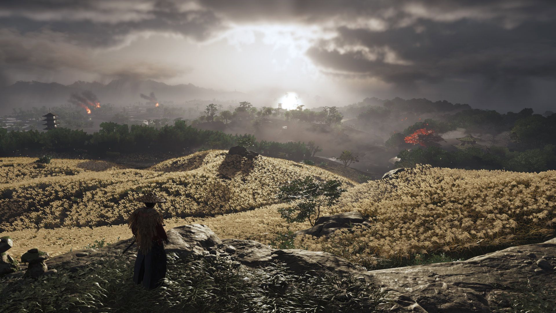 تصویری از محیط بازی Ghost of Tsushima