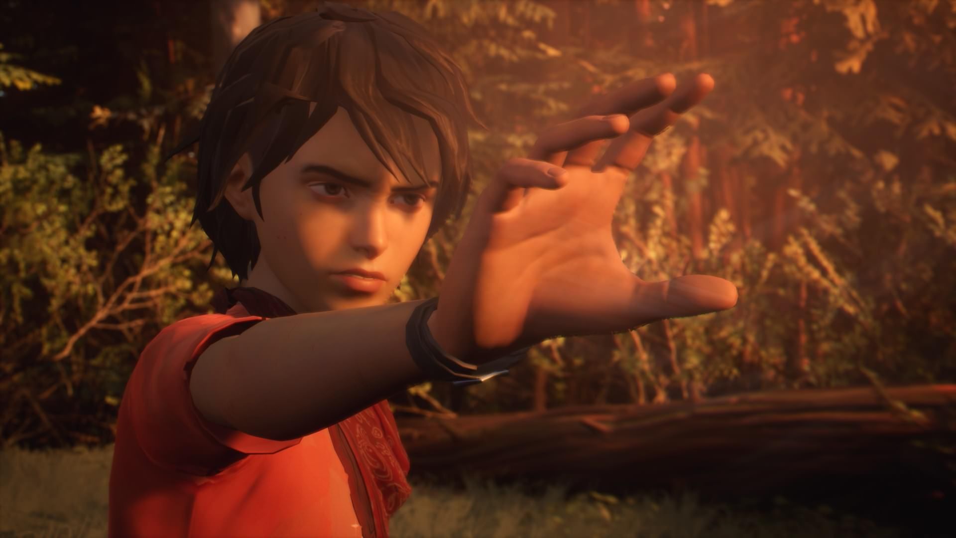 نمایی از بازی Life is Strange