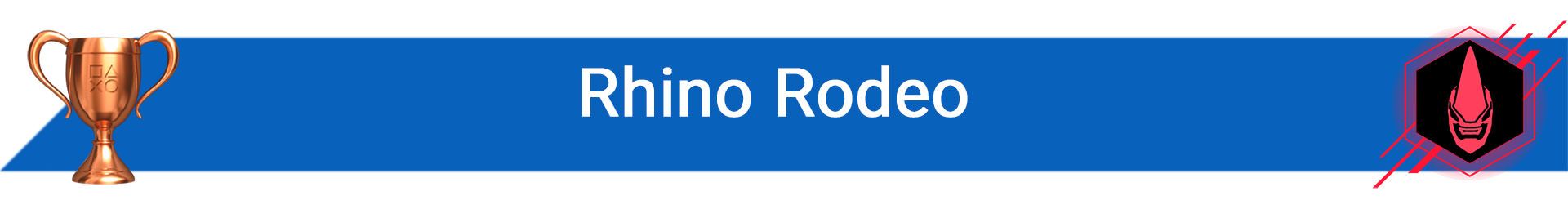 2020-11-rhino-rodeo