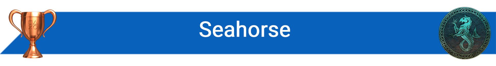 2020-11-seahorse