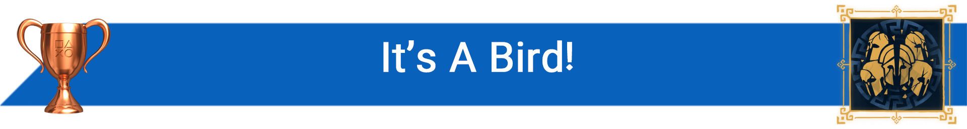 تروفی It’s A Bird!
