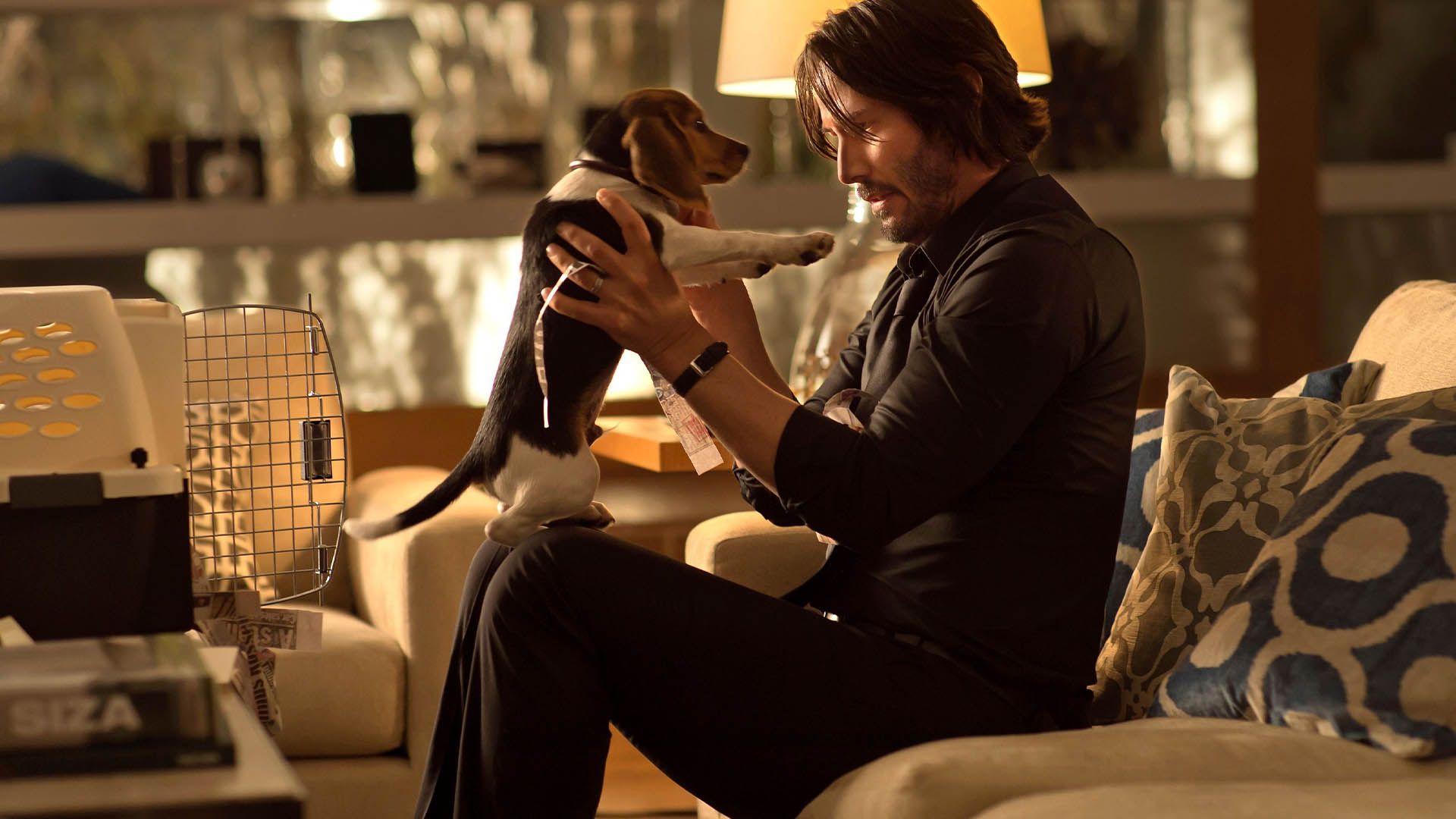 2020-12-john-wick-and-his-dog