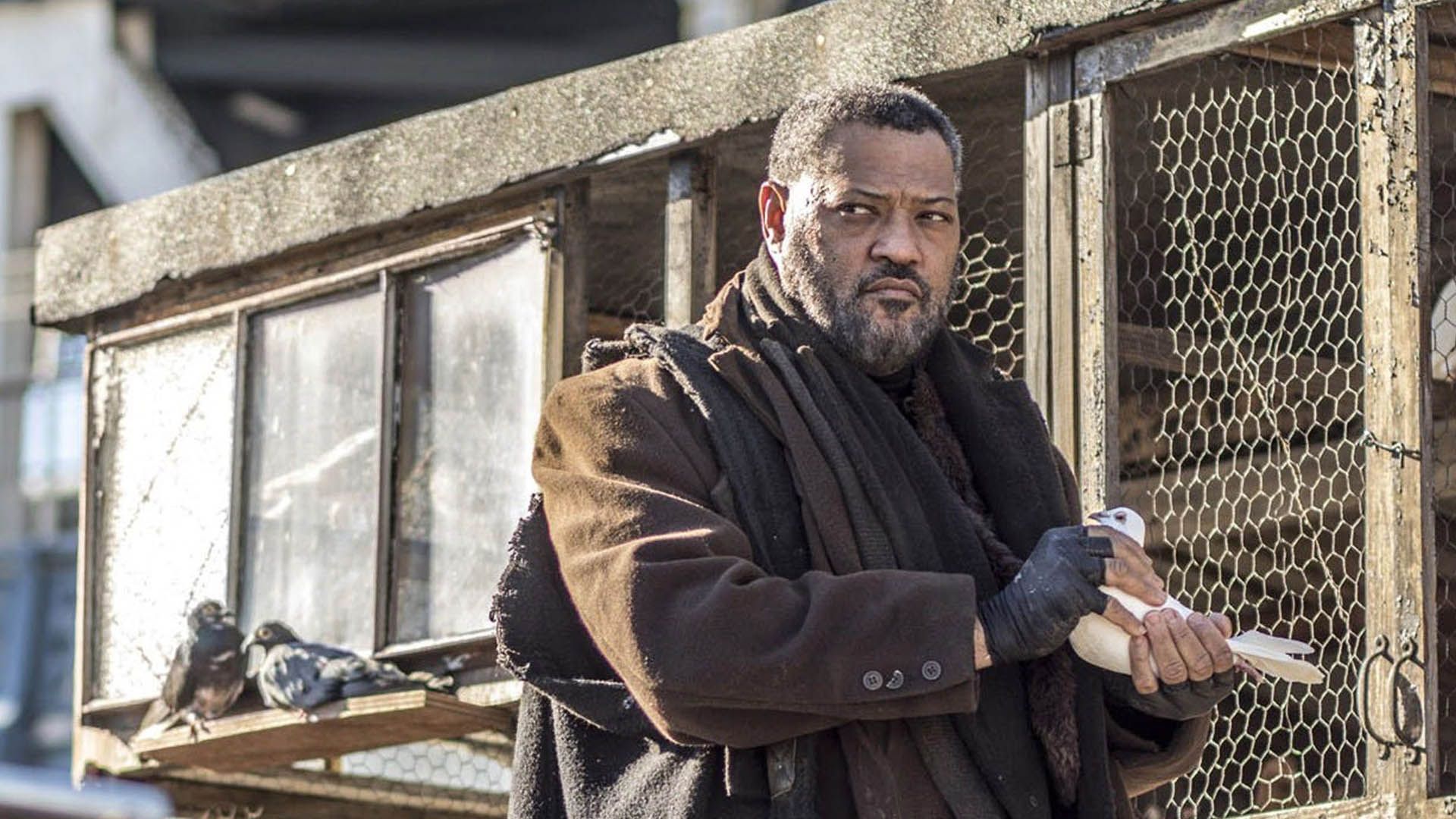 2020-12-laurence-fishburne-john-wick