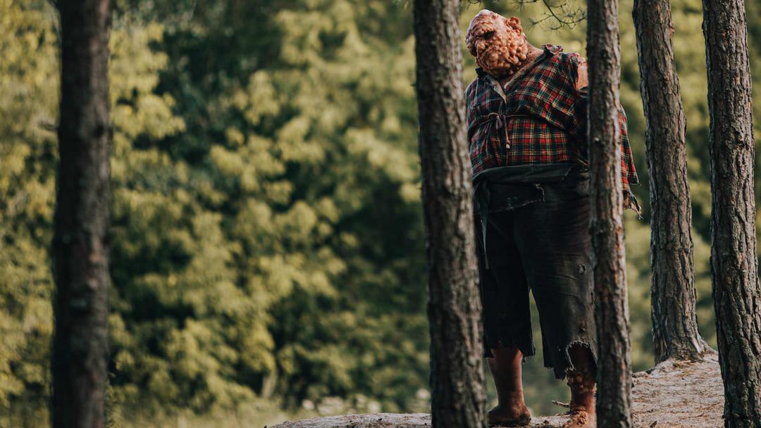 2020-12-nobody-sleeps-in-the-woods-tonight-polish-movie