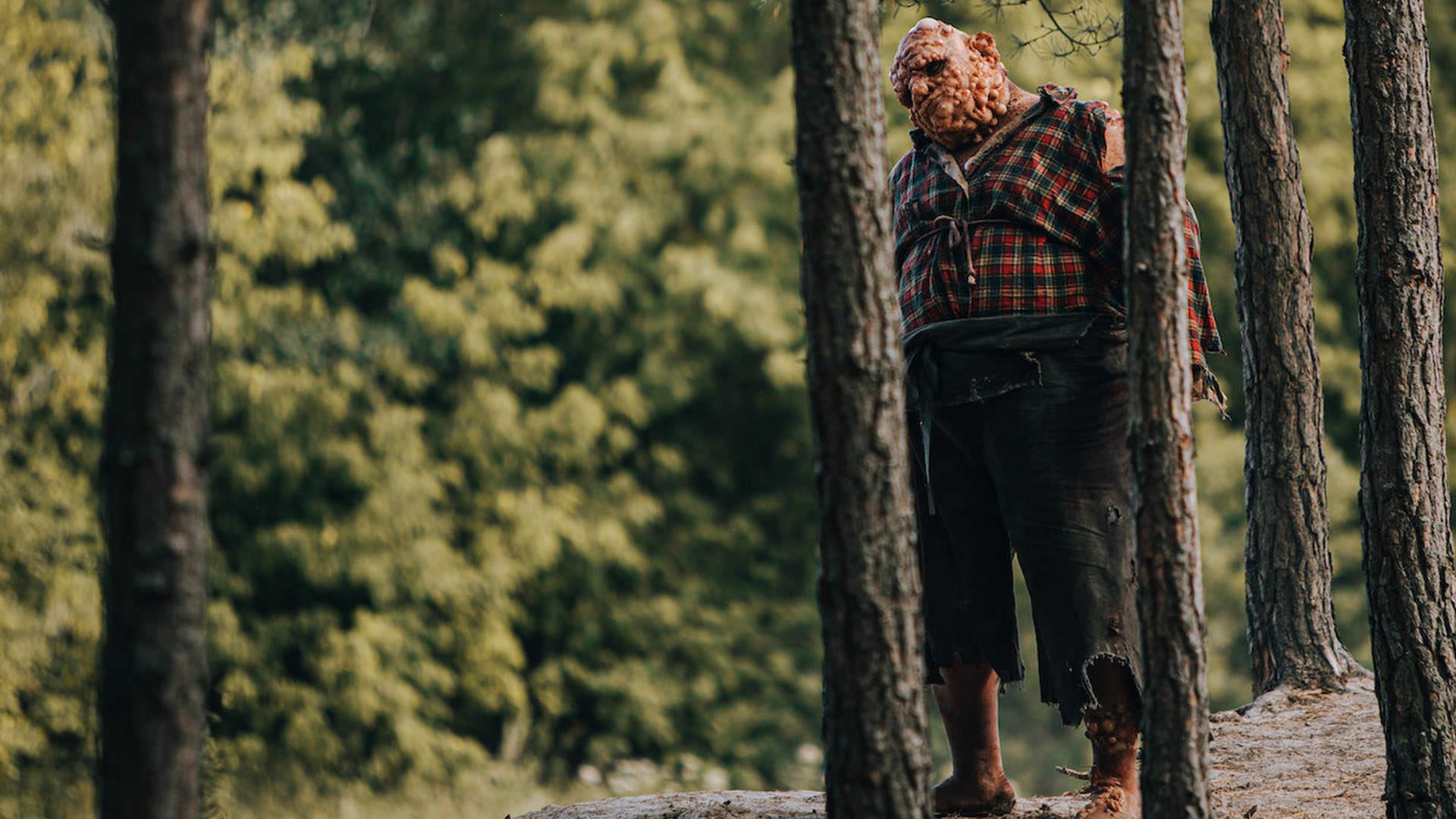 2020-12-nobody-sleeps-in-the-woods-tonight-polish-movie