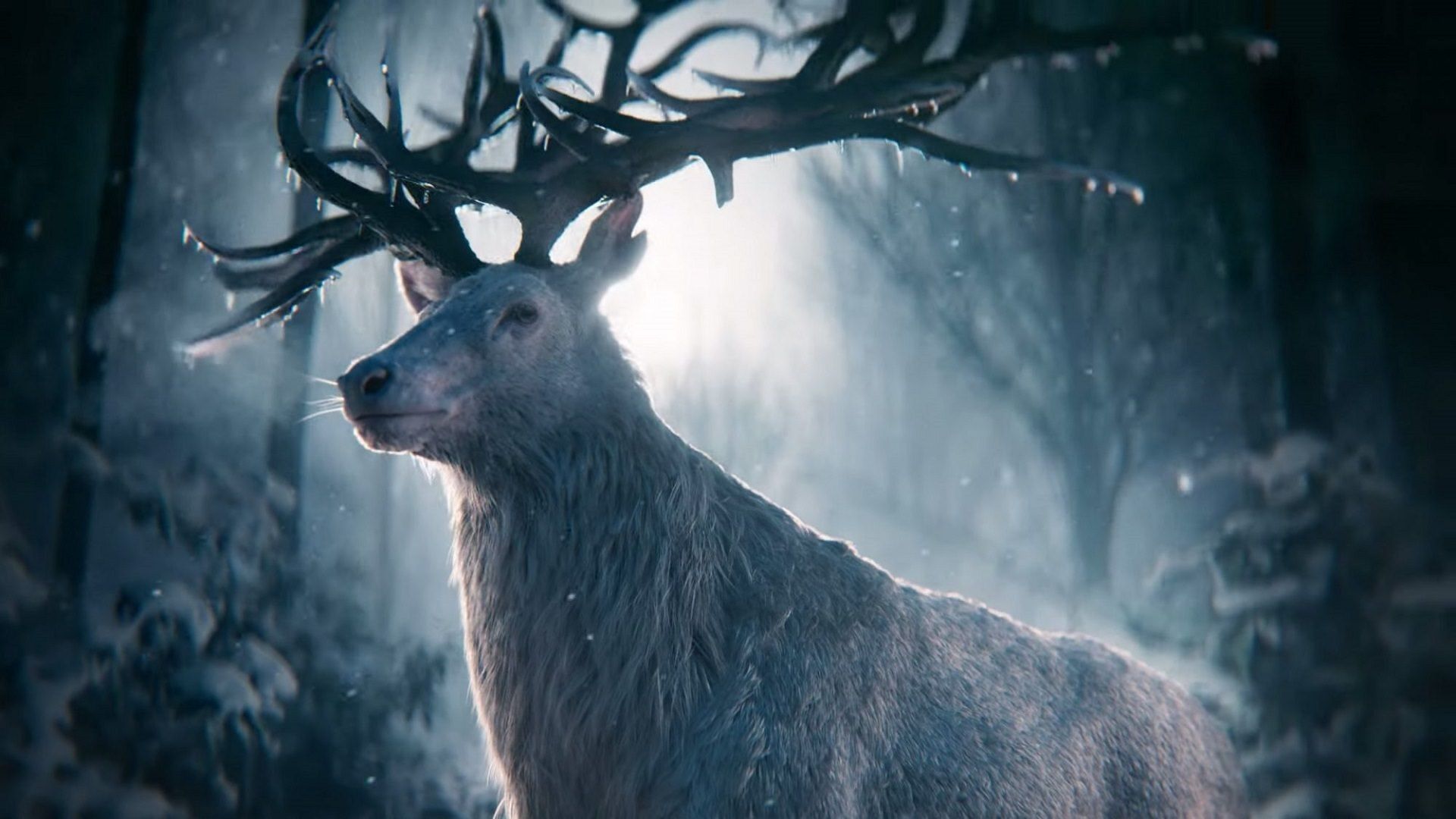 گوزن در تیزر جدید سریال Shadow and Bone