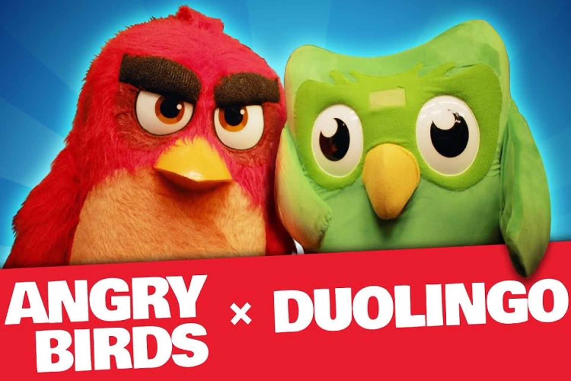 Angry birds