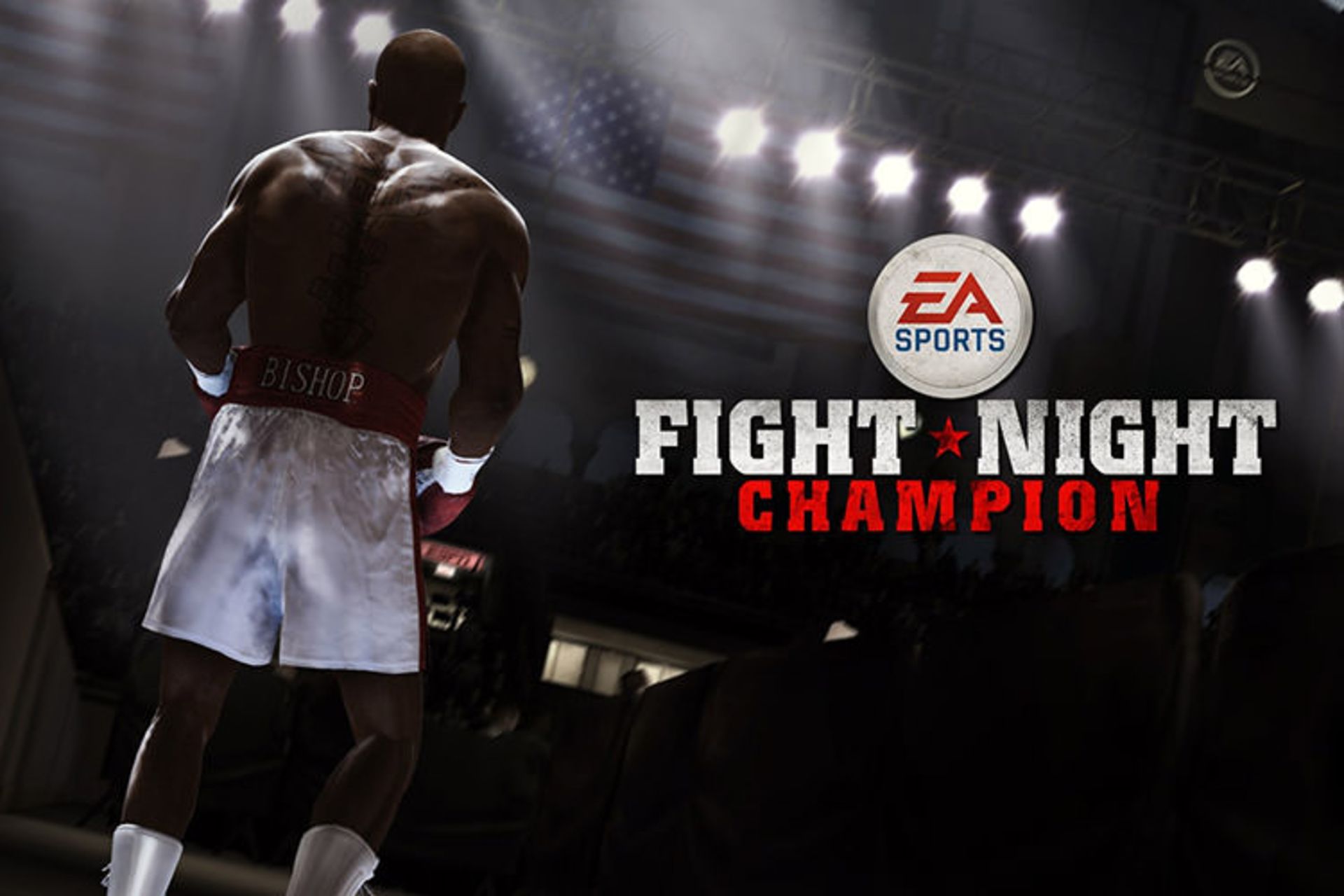 مجموعه Fight Night