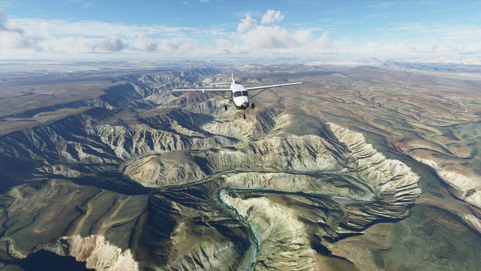 Microsoft Flight Simulator