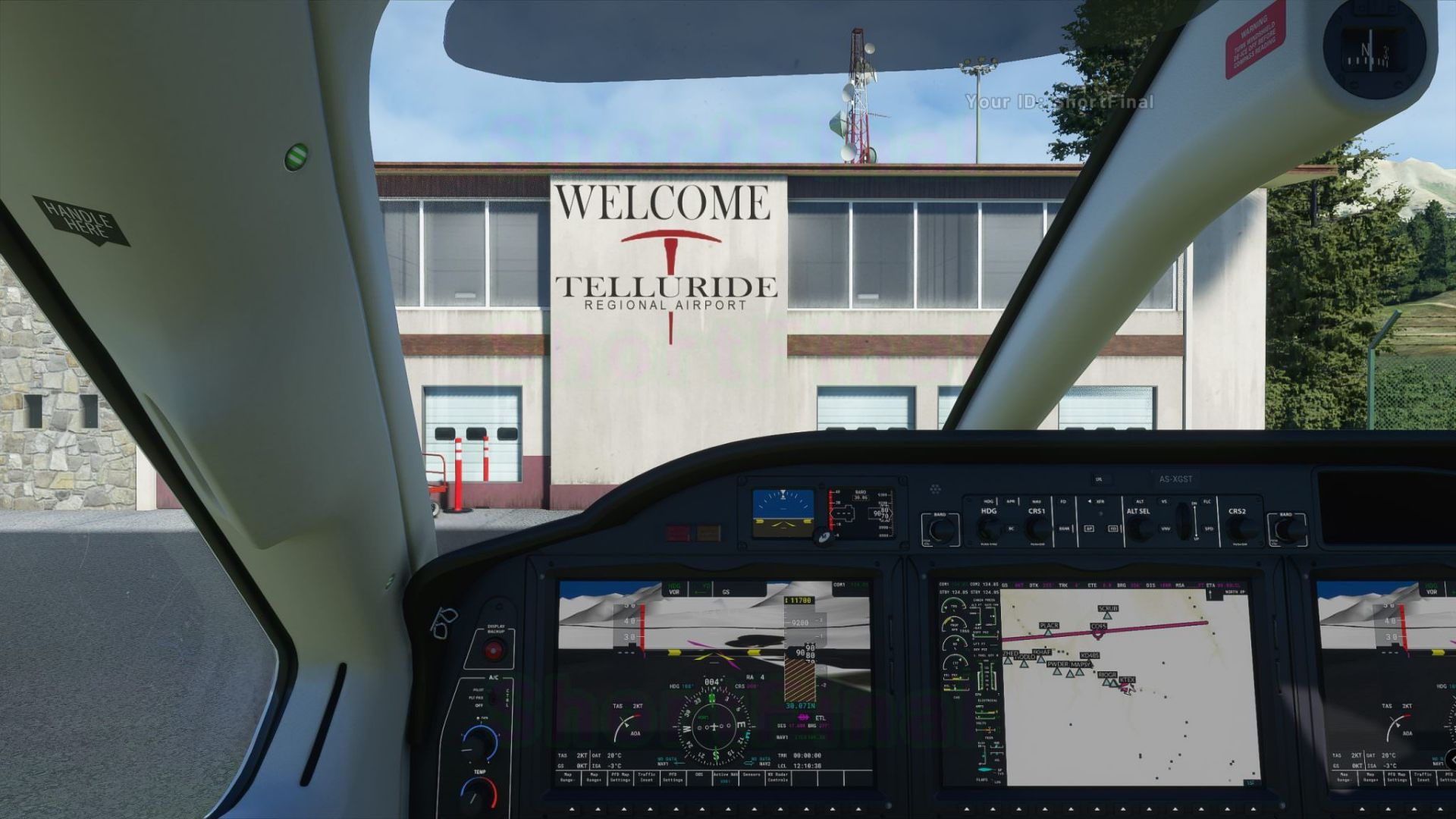 Microsoft Flight Simulator