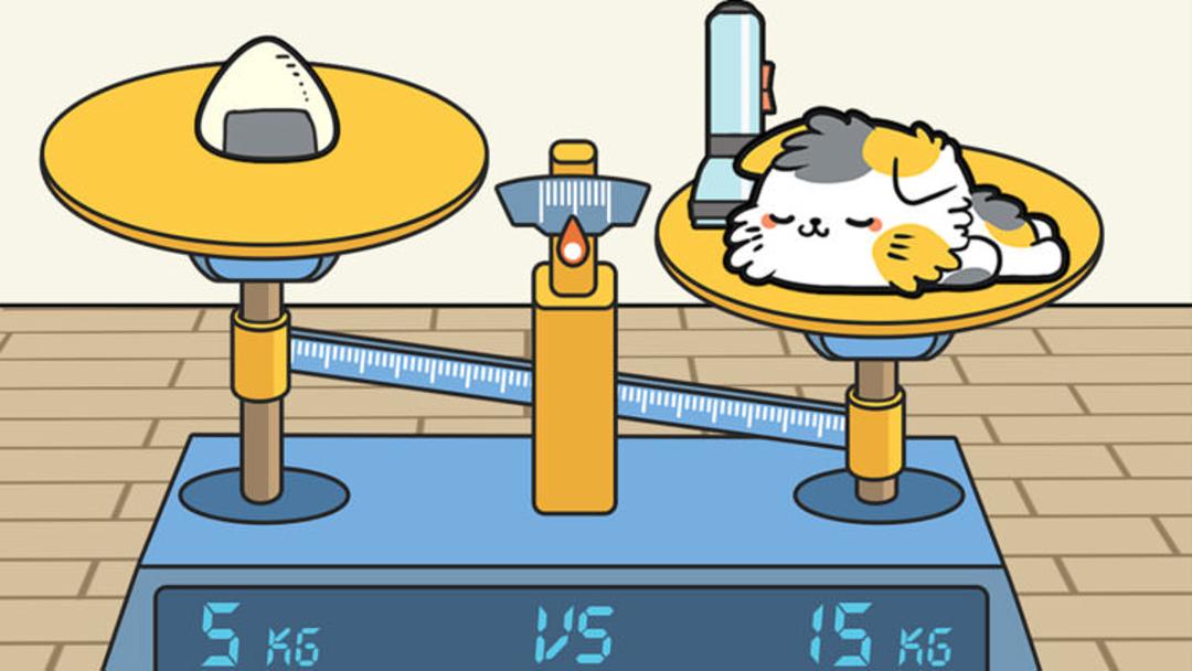 Balance Weight Puzzle