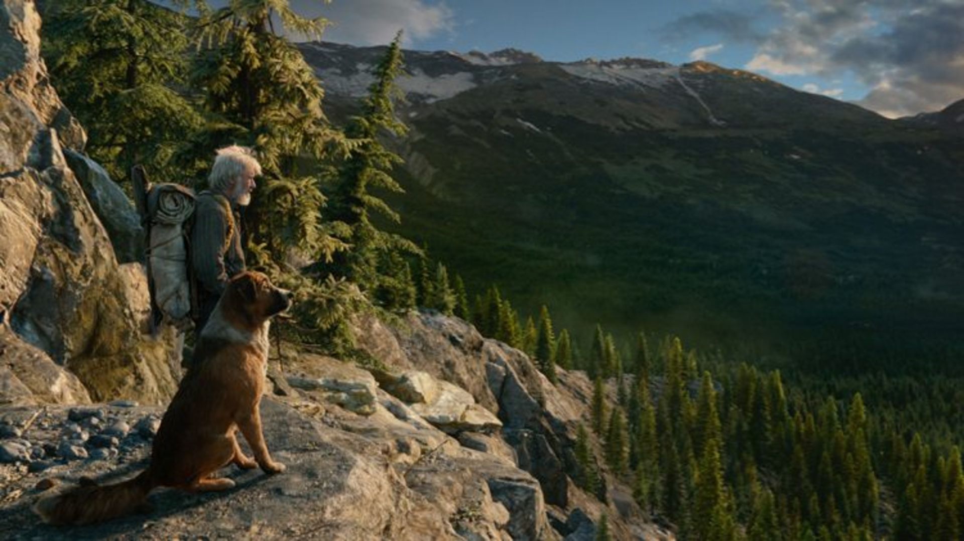 The call of the wild