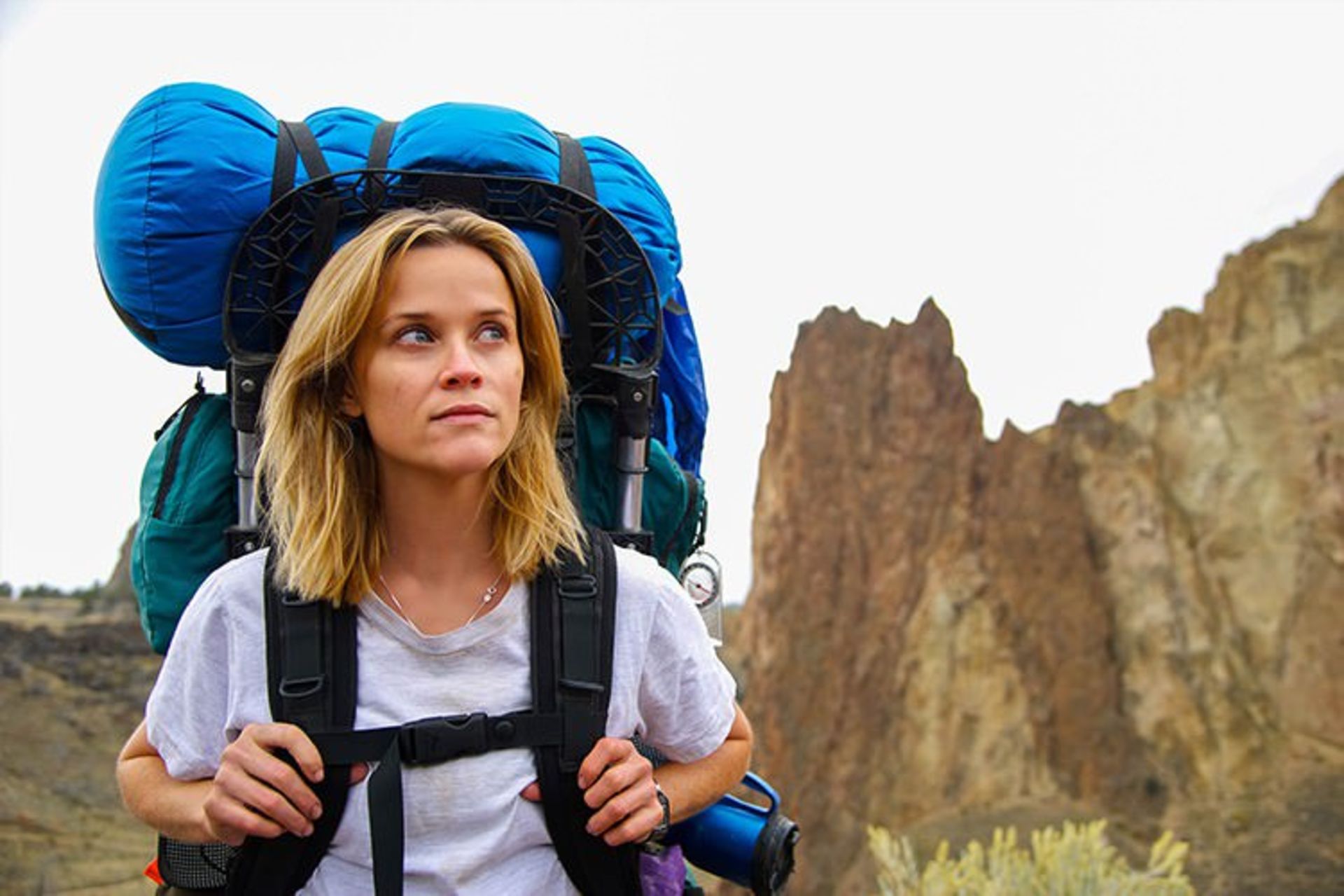 فیلم Wild