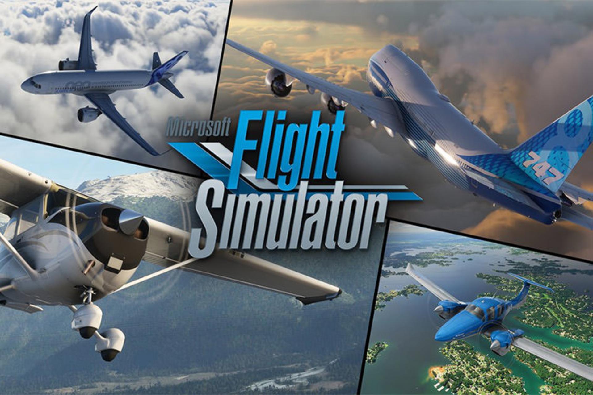 Microsoft Flight Simulator