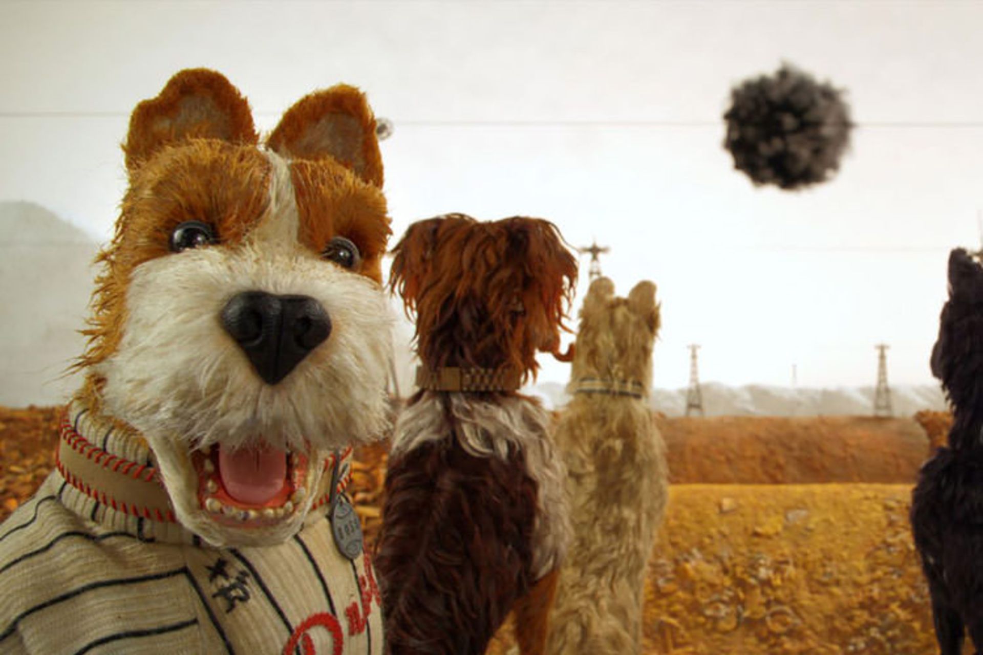 فیلم Isle of Dogs