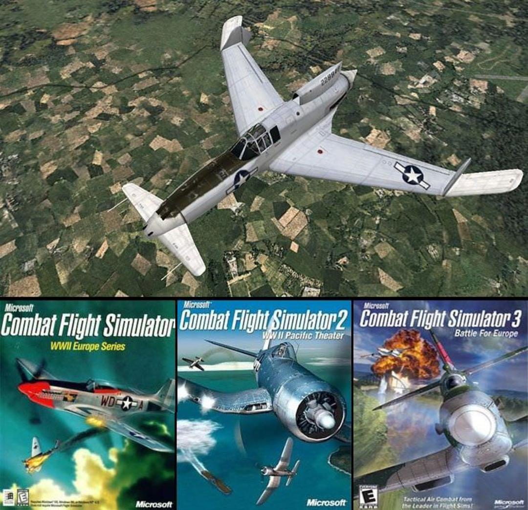 Microsoft Flight Simulator