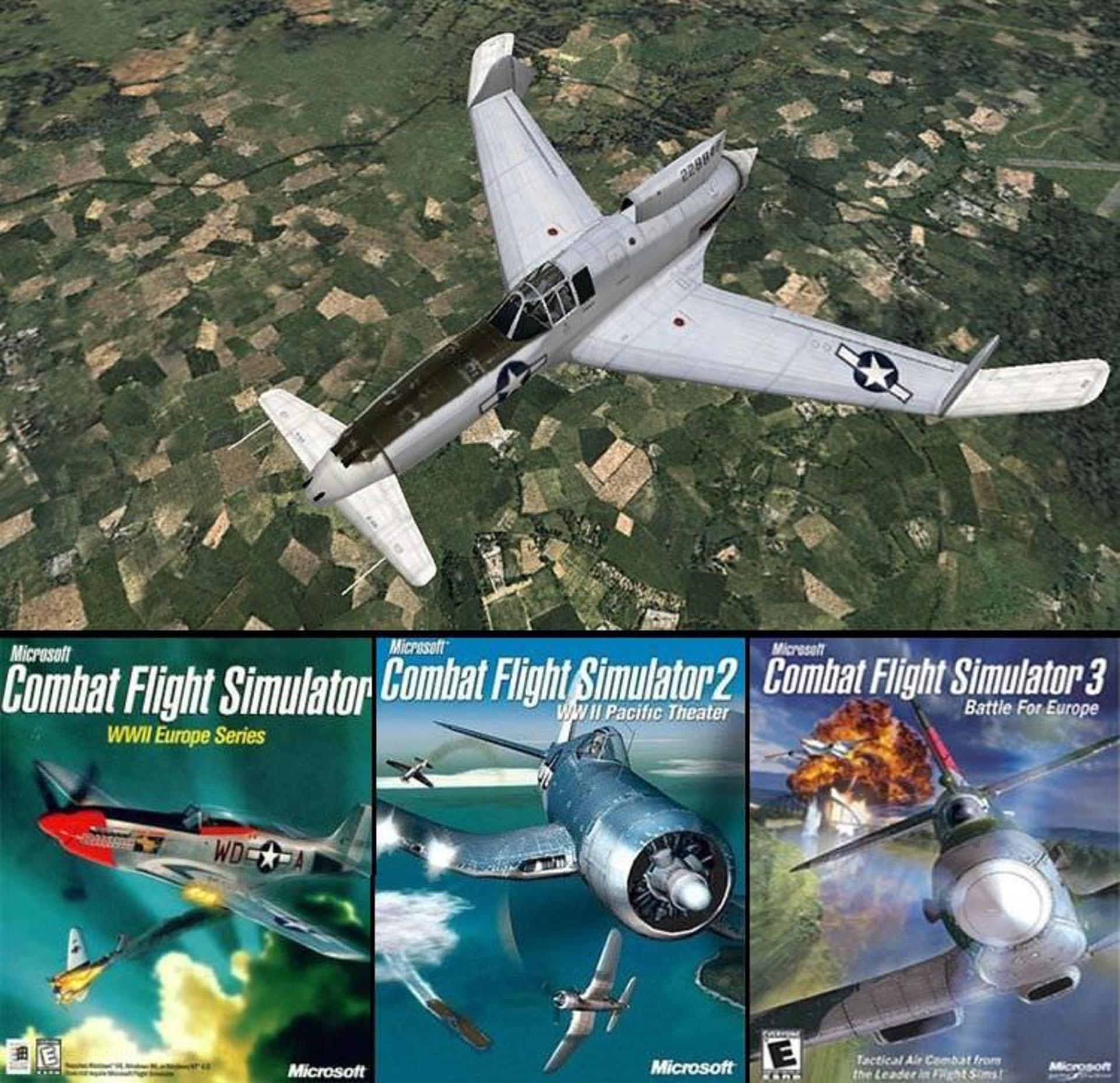 Microsoft Flight Simulator