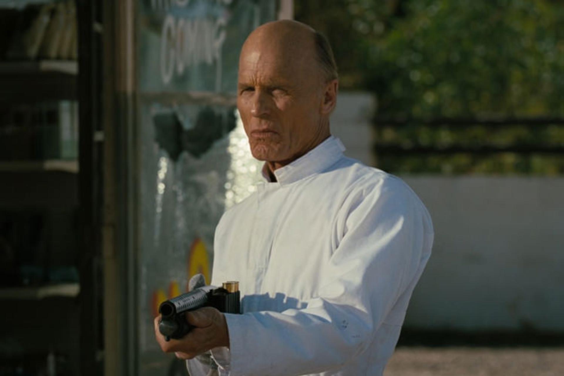  سریال Westworld