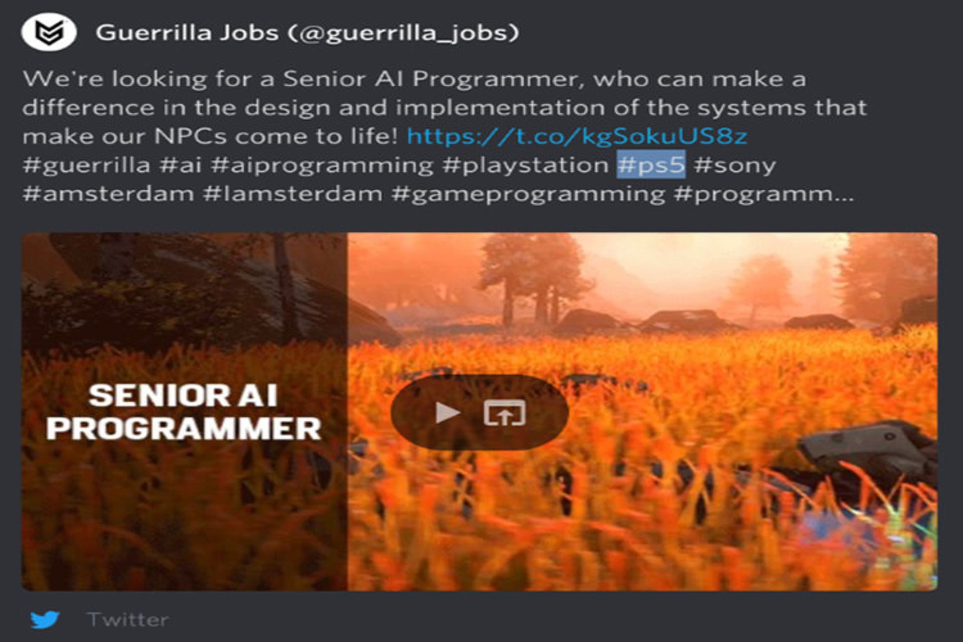استودیوی Guerrilla Games