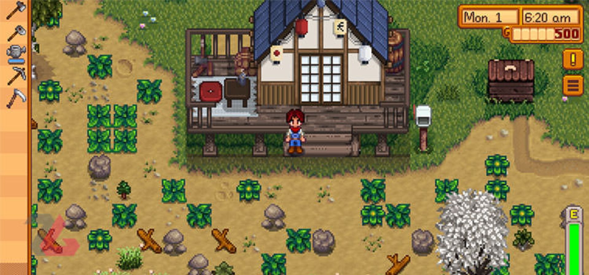 Stardew Valley