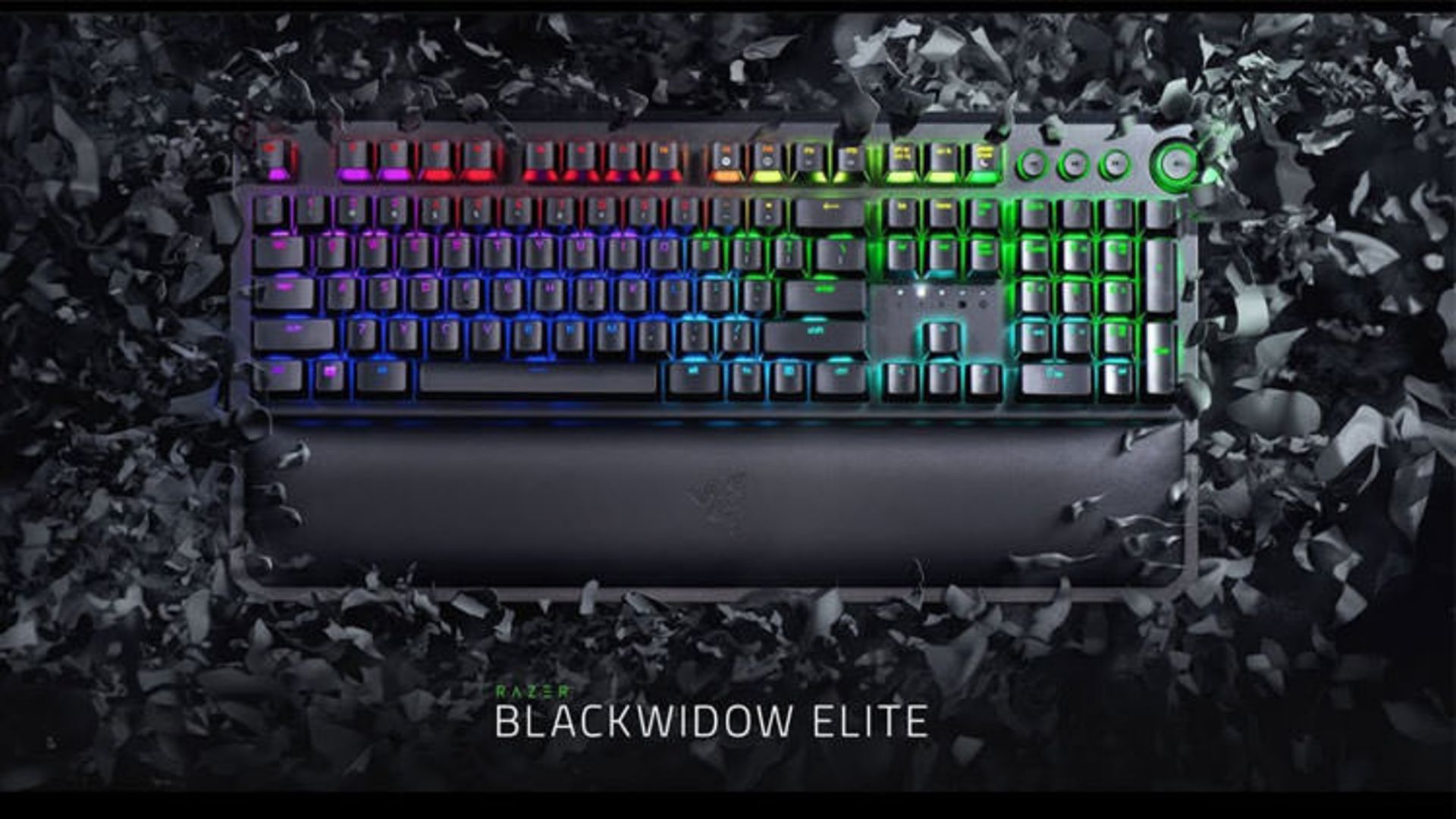 Blackwidow Elite