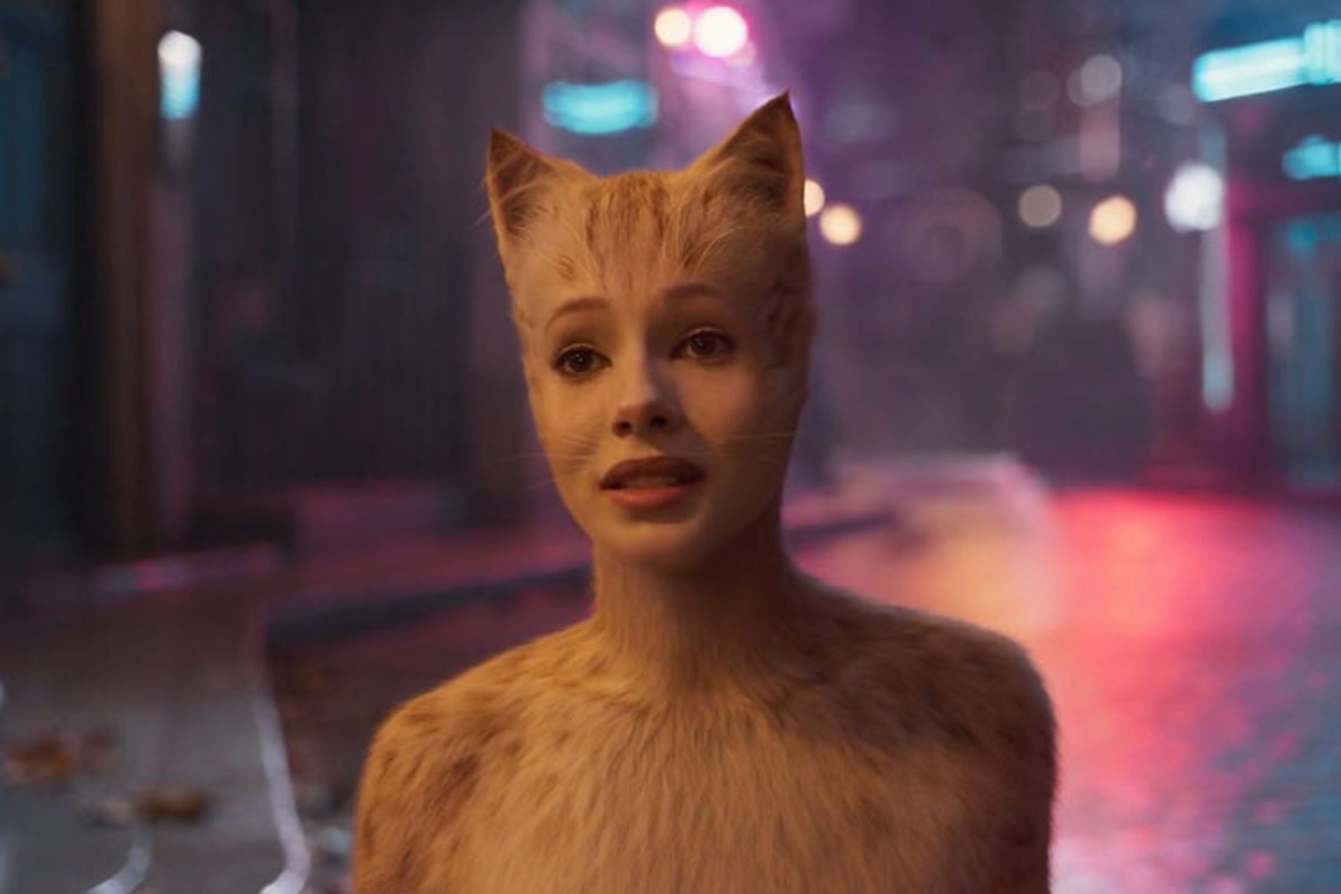 cats فیلم 