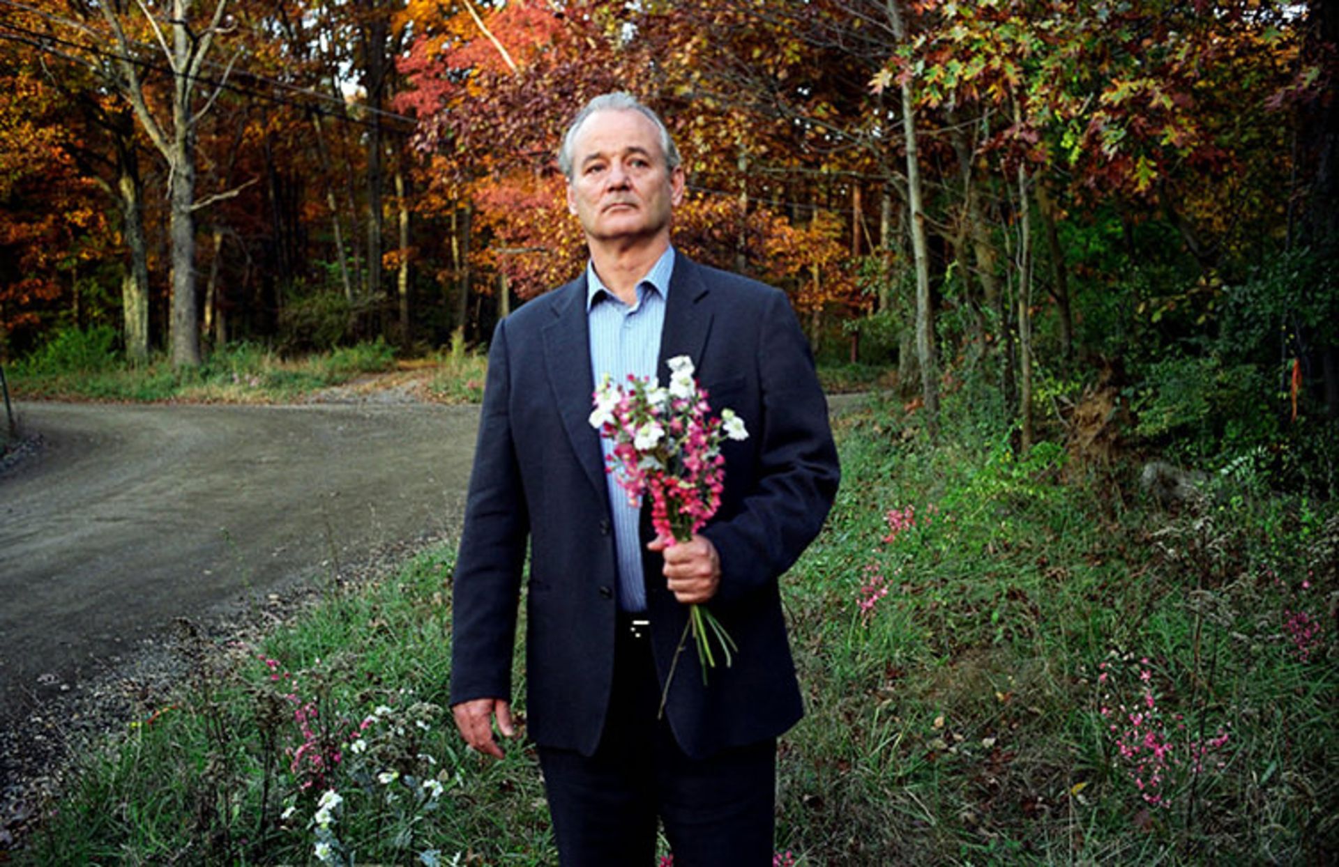 Broken Flowers