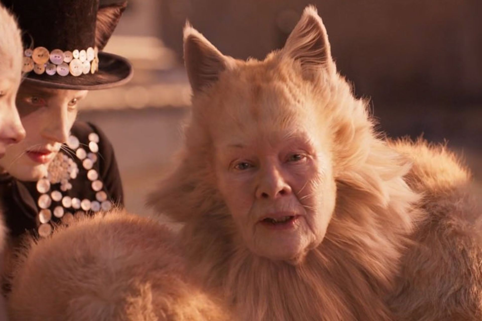 cats فیلم 