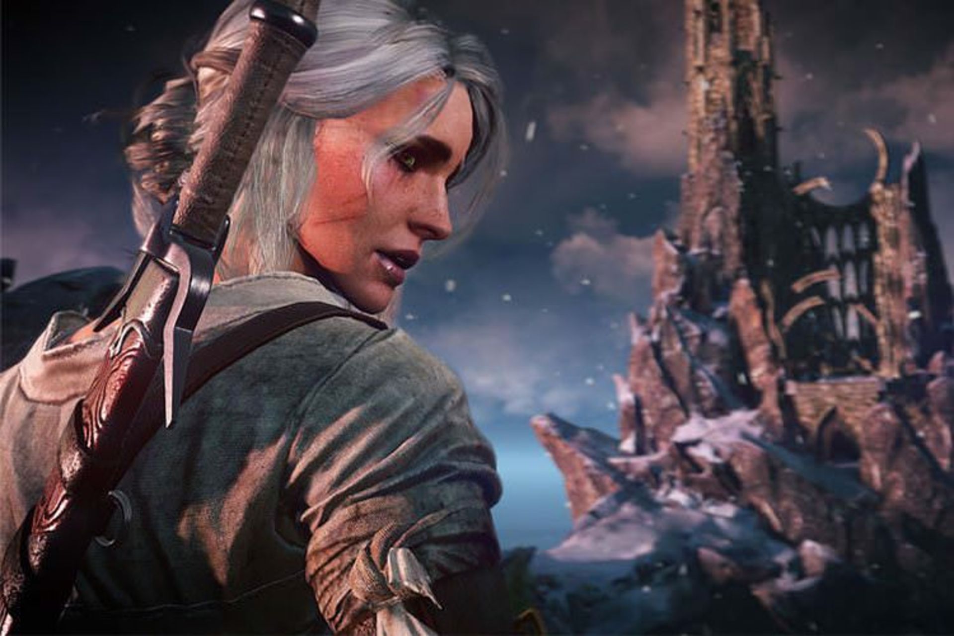 The Witcher