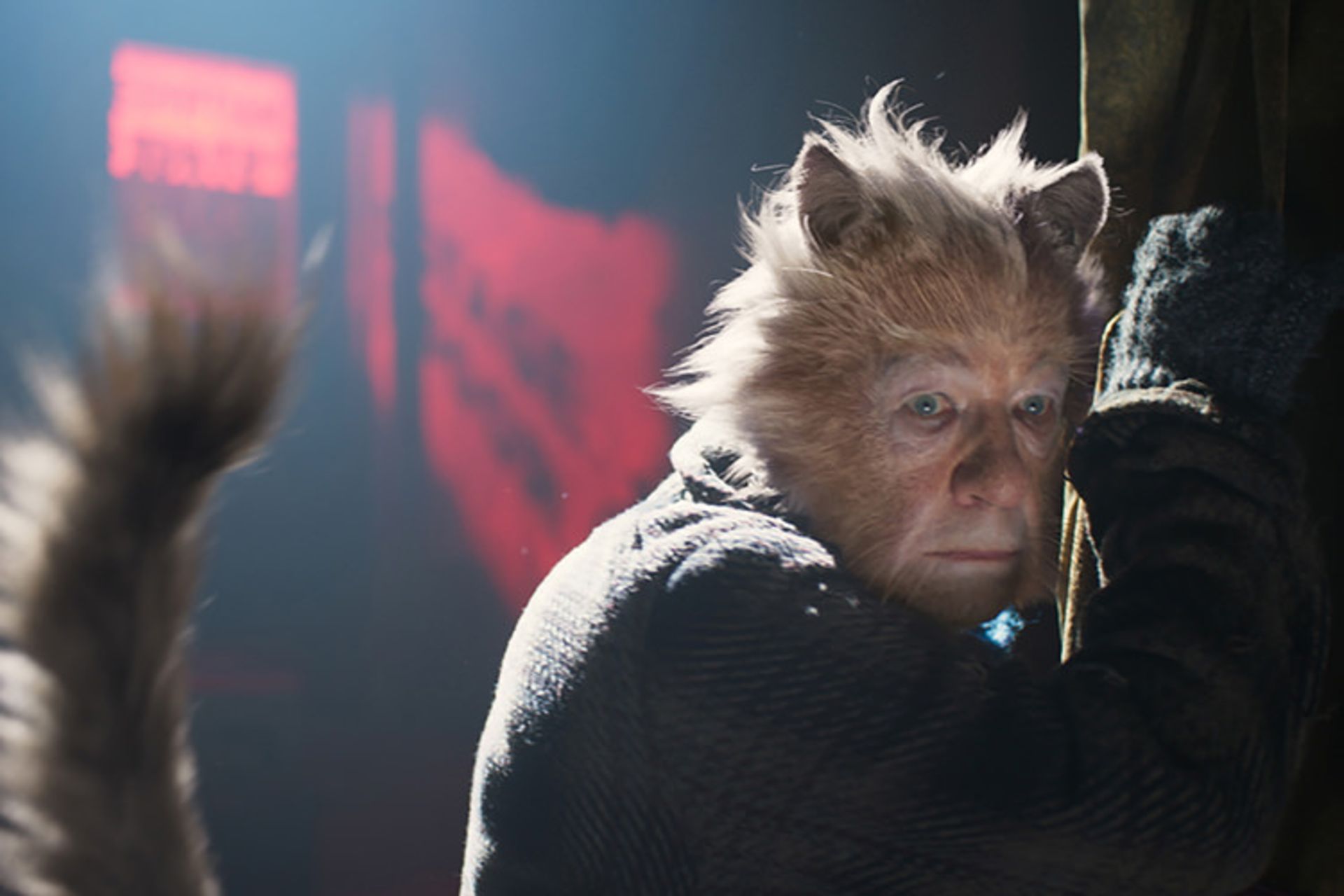 cats فیلم 