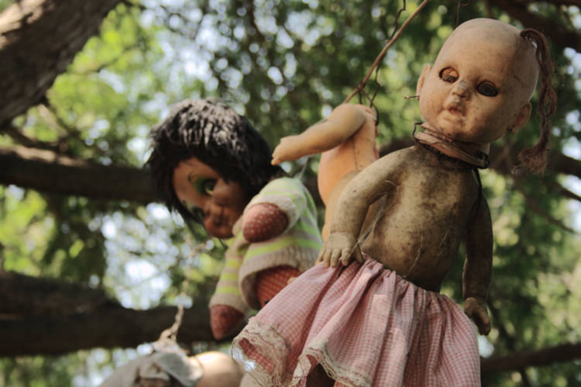 Haunted Doll