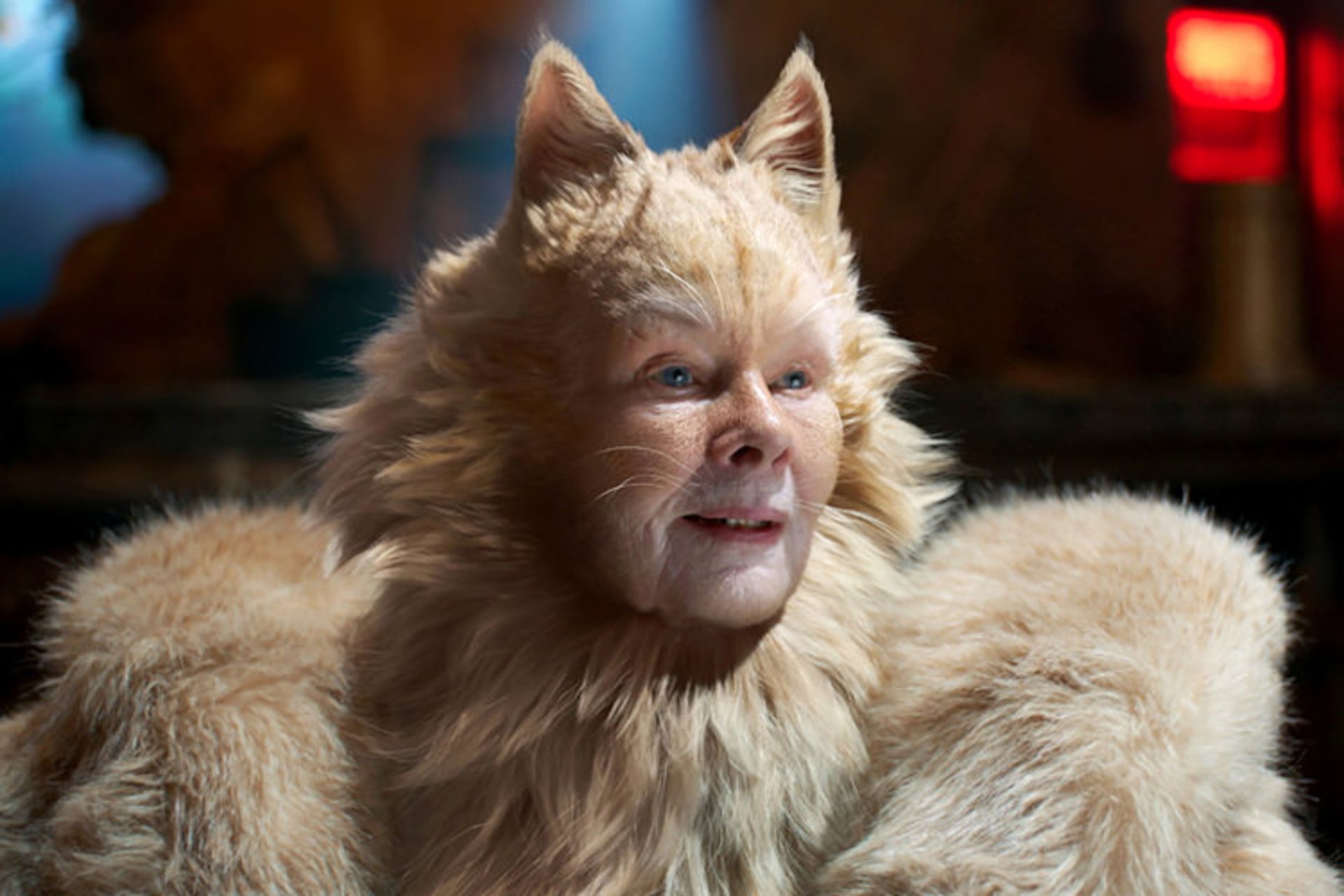 cats فیلم 