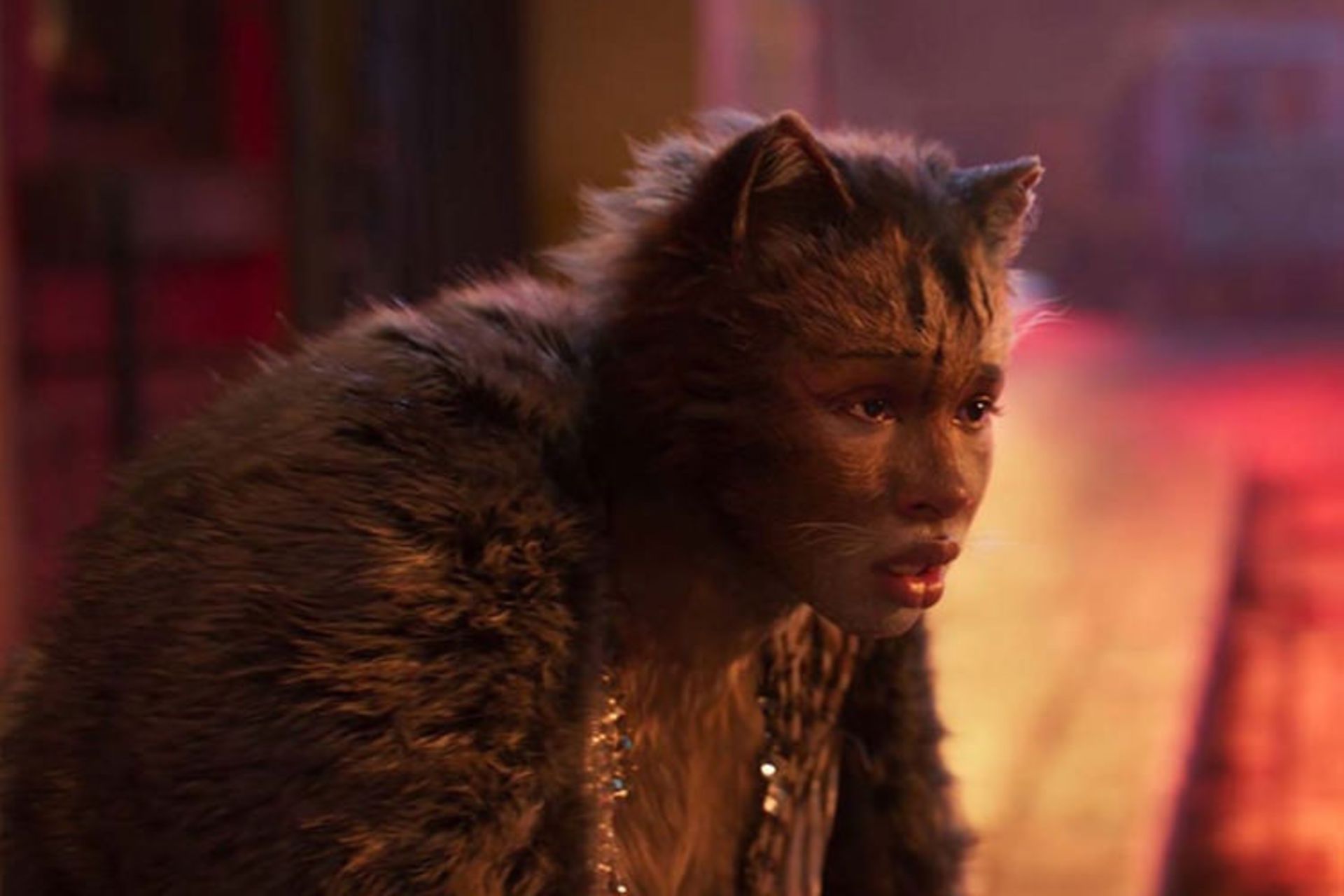 cats فیلم 