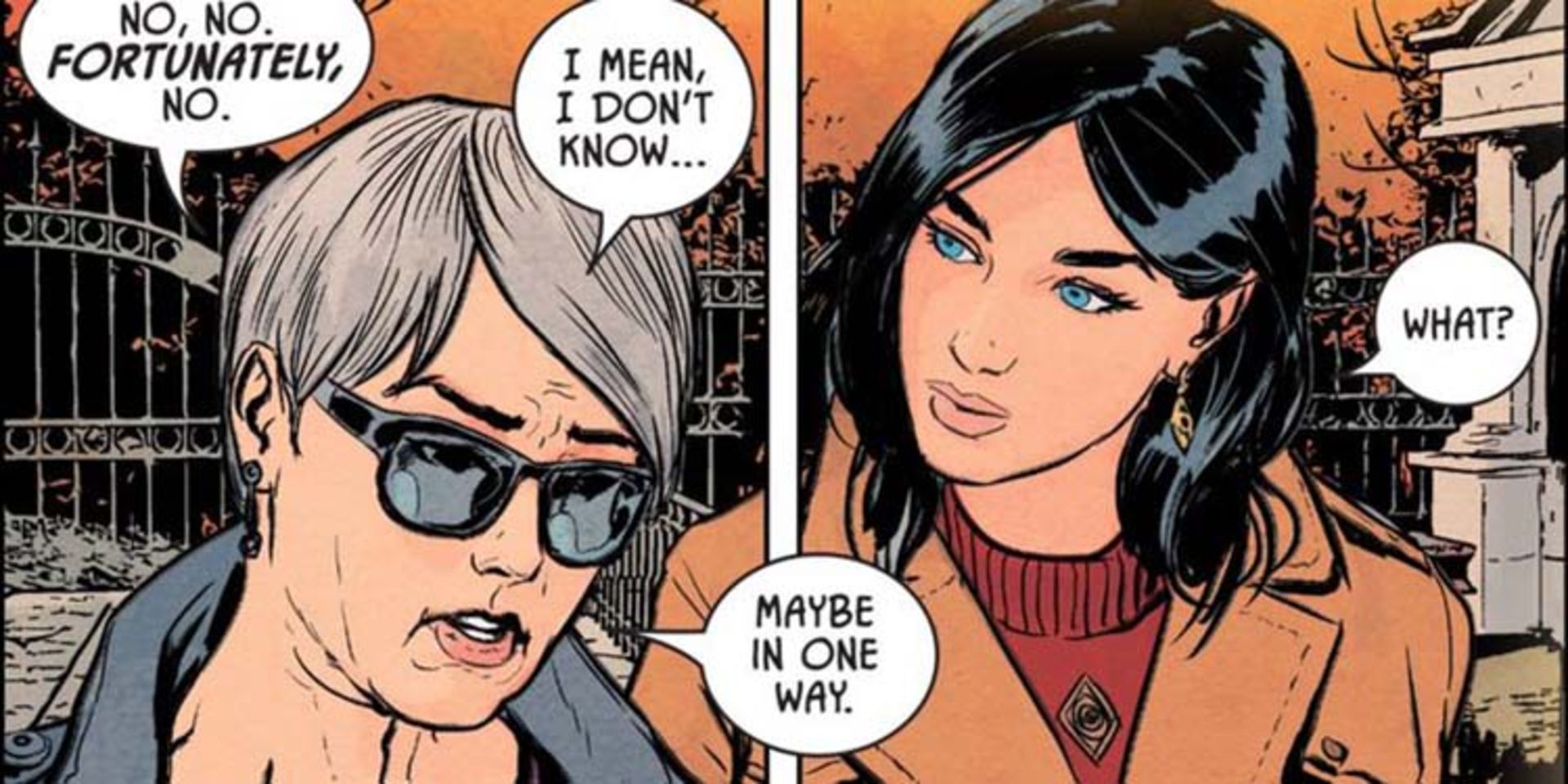 batman - catwoman - helena wayne